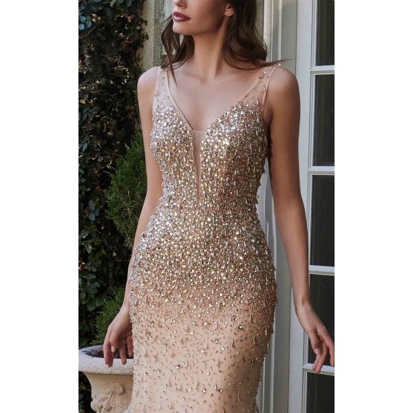 Cinderella Divine B718 Dress